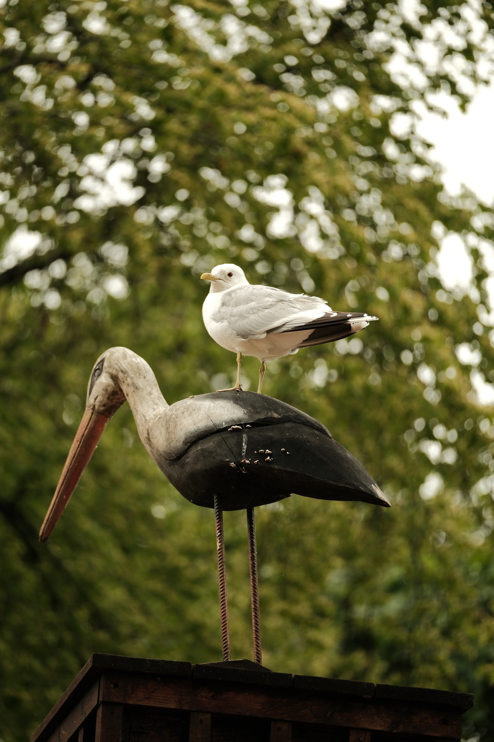 A gull perches on the back of a stork sculpture.